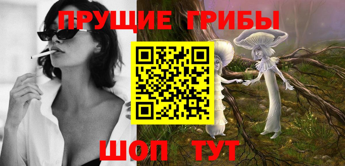 Псилоцибиновые грибы мицелий Ликино-Дулёво